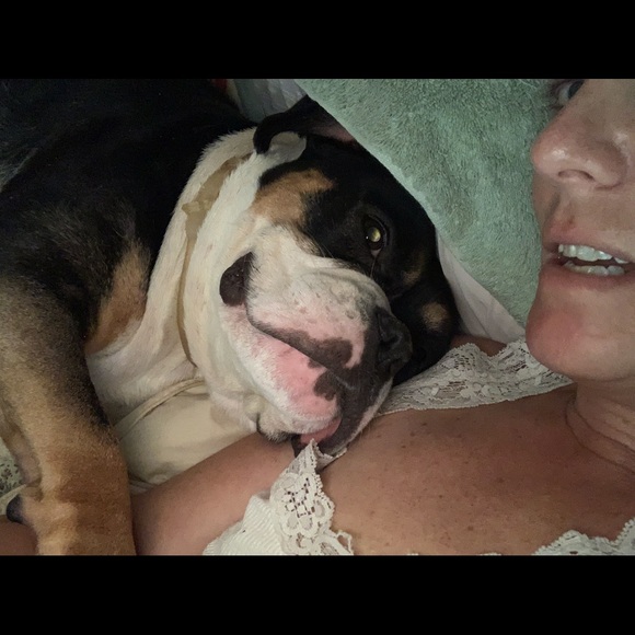 Meet your Posher, Liz - Picture 2 of 2